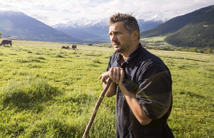 The Transport of Cows — it all makes Sense especially for the Environment