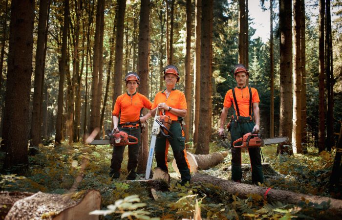 All Good in the Wood — Bavarian Staatsforsten are the Keeper of Balance