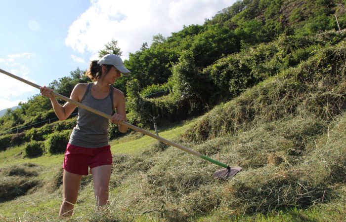 A Change of Perspective — Volunteering on South Tyrolean Mountain Farms